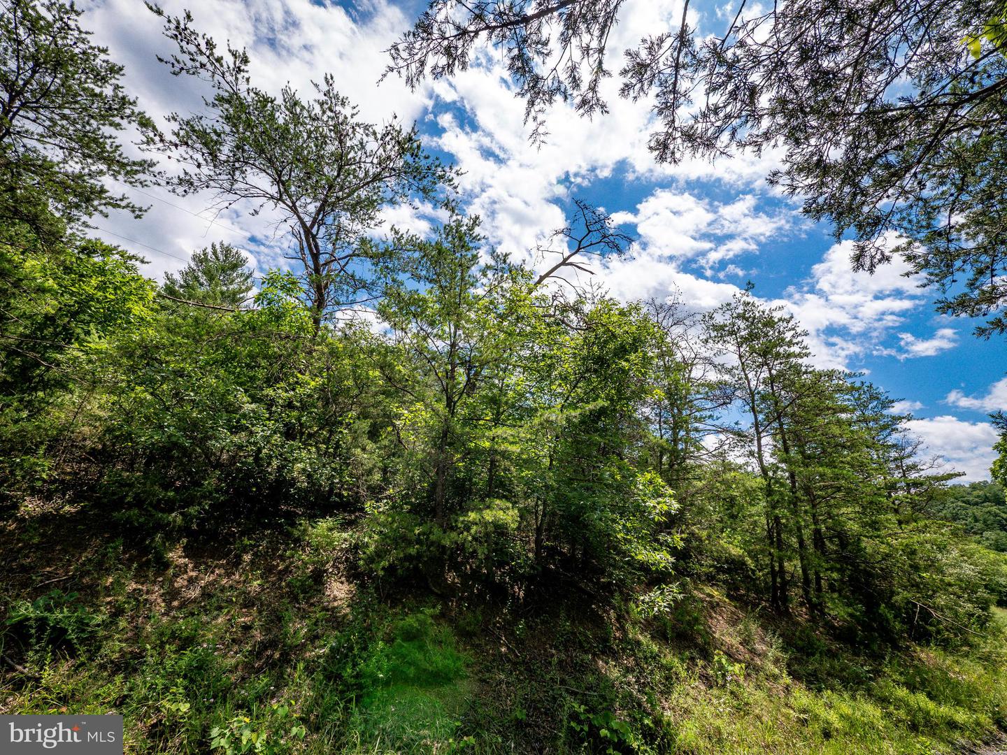 LOT 9 STAR TANNERY RD, STAR TANNERY, Virginia 22654, ,Land,For sale,LOT 9 STAR TANNERY RD,VAFV2035076 MLS # VAFV2035076