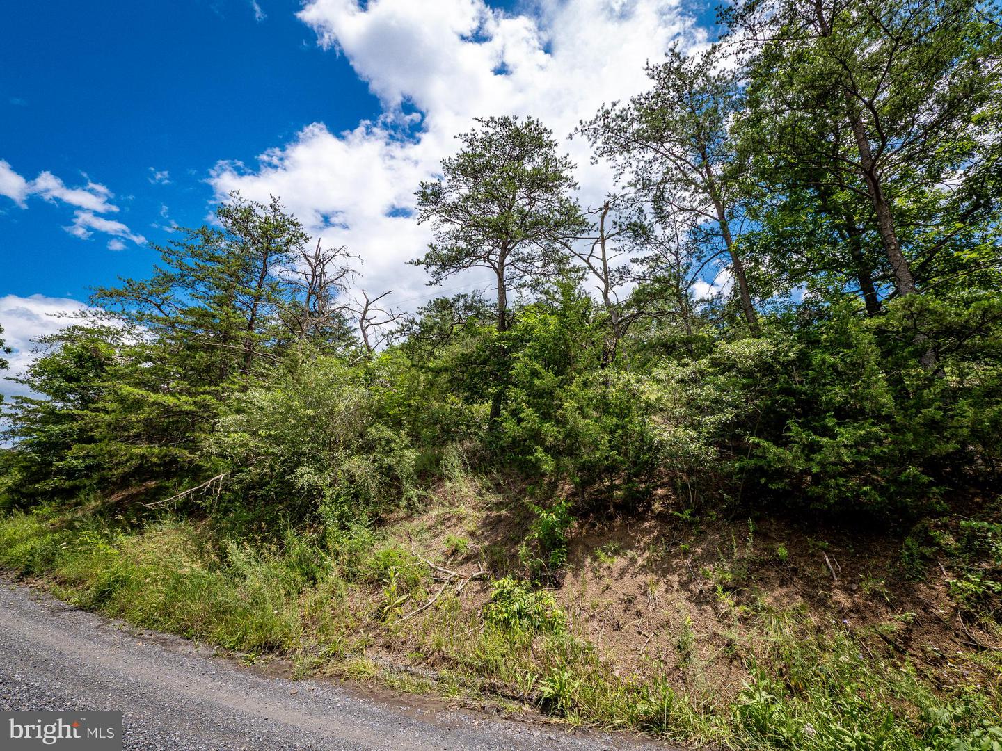 LOT 9 STAR TANNERY RD, STAR TANNERY, Virginia 22654, ,Land,For sale,LOT 9 STAR TANNERY RD,VAFV2035076 MLS # VAFV2035076