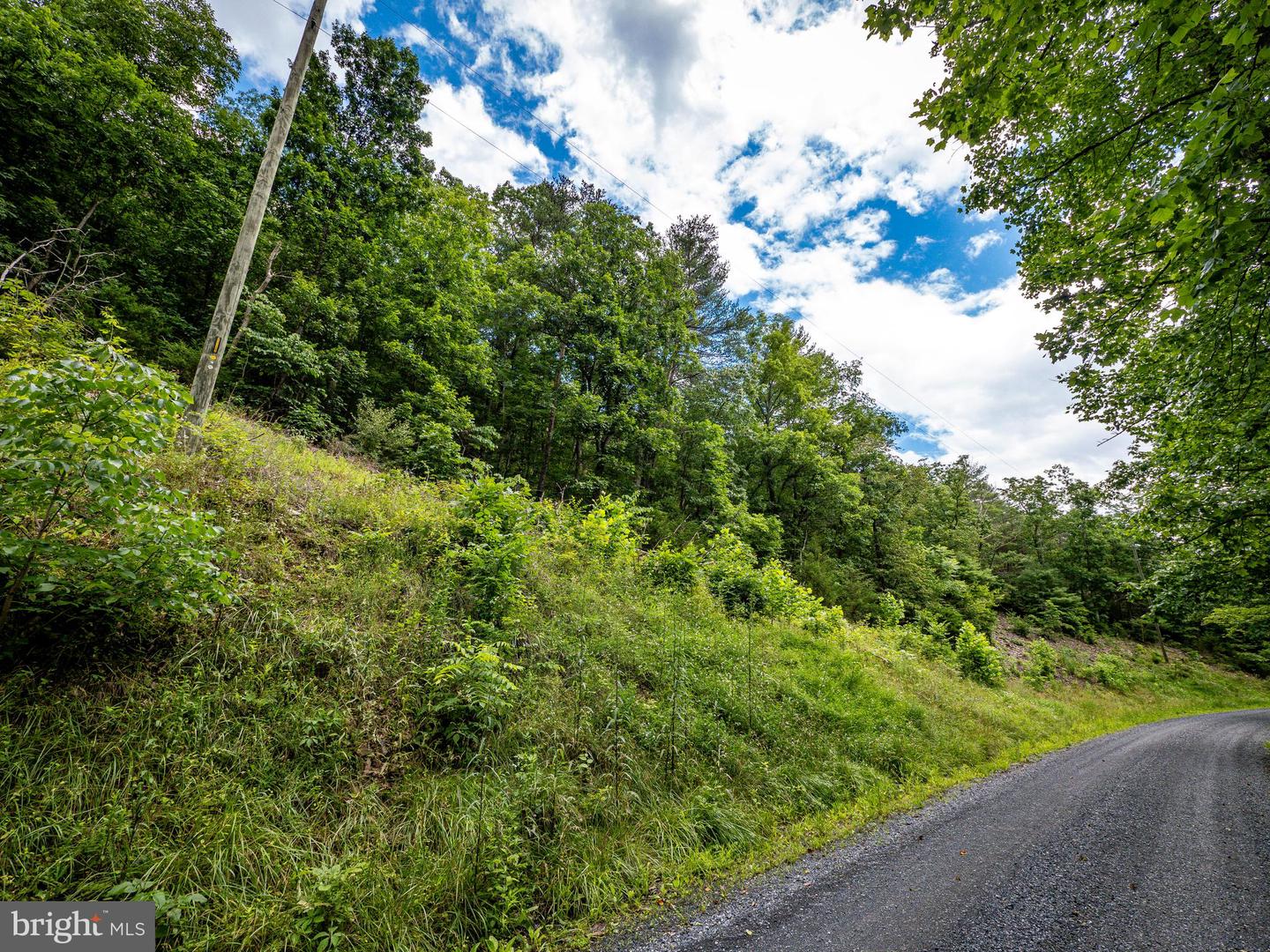 LOT 10 STAR TANNERY RD, STAR TANNERY, Virginia 22654, ,Land,For sale,LOT 10 STAR TANNERY RD,VAFV2035078 MLS # VAFV2035078