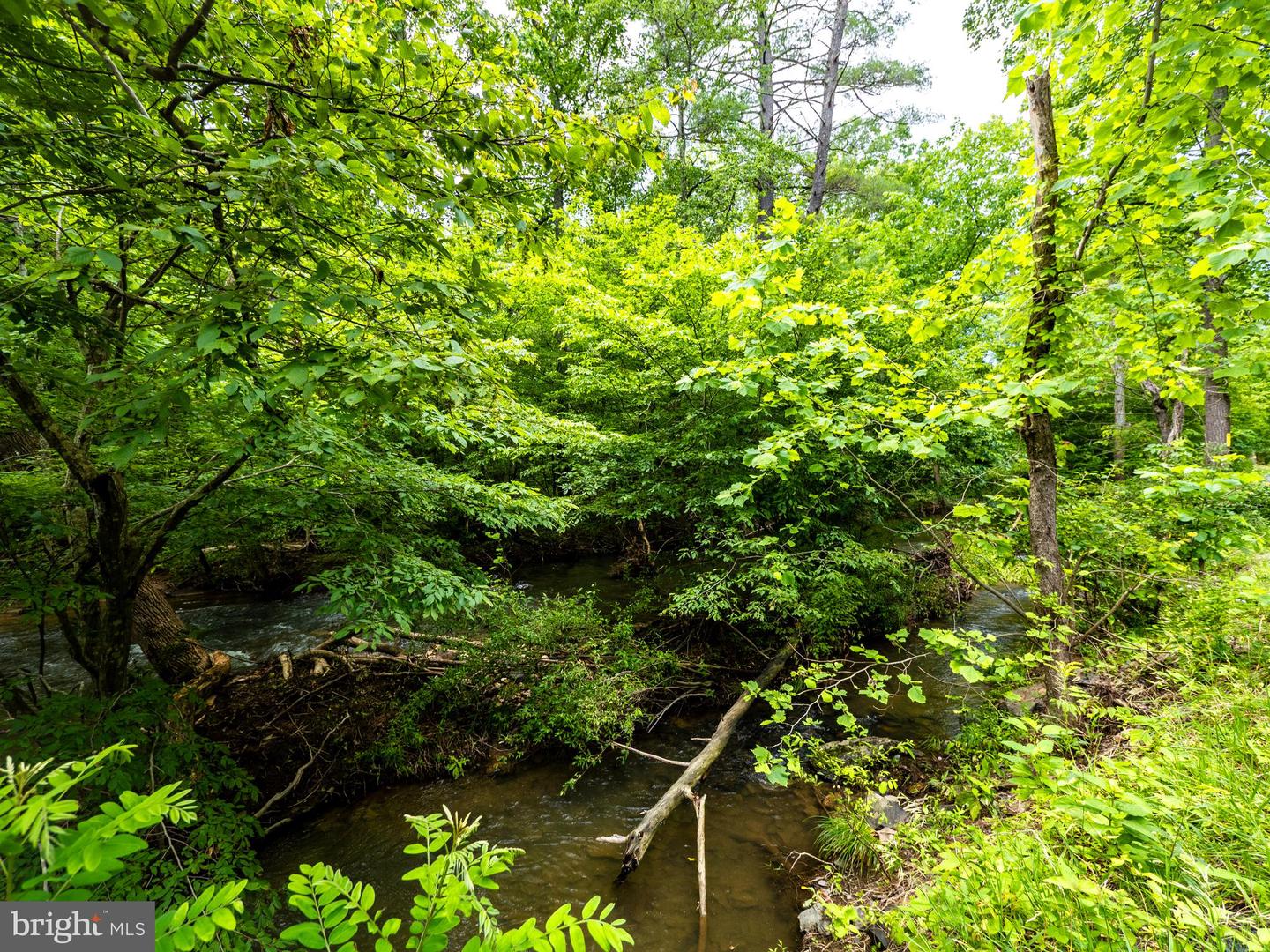 LOT 10 STAR TANNERY RD, STAR TANNERY, Virginia 22654, ,Land,For sale,LOT 10 STAR TANNERY RD,VAFV2035078 MLS # VAFV2035078