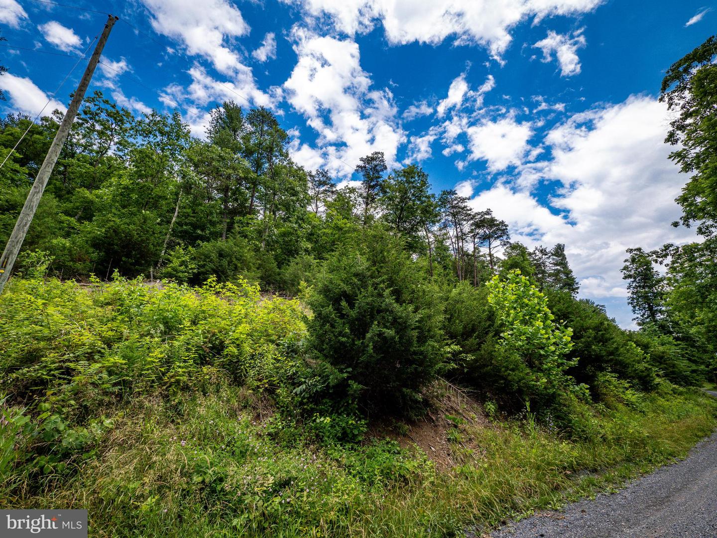 LOT 10 STAR TANNERY RD, STAR TANNERY, Virginia 22654, ,Land,For sale,LOT 10 STAR TANNERY RD,VAFV2035078 MLS # VAFV2035078