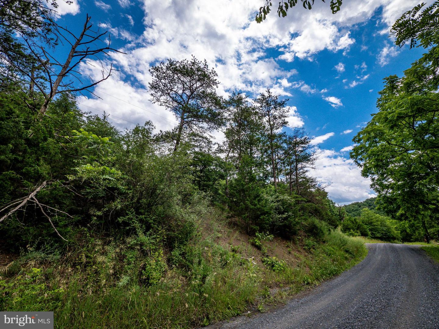 LOTS 8, 9, AND 10 STAR TANNERY RD, STAR TANNERY, Virginia 22654, ,Land,For sale,LOTS 8, 9, AND 10 STAR TANNERY RD,VAFV2035080 MLS # VAFV2035080