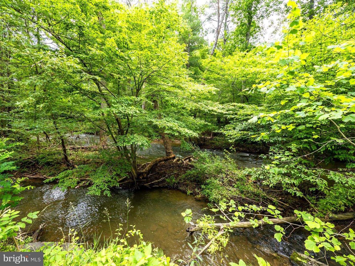 LOTS 8, 9, AND 10 STAR TANNERY RD, STAR TANNERY, Virginia 22654, ,Land,For sale,LOTS 8, 9, AND 10 STAR TANNERY RD,VAFV2035080 MLS # VAFV2035080