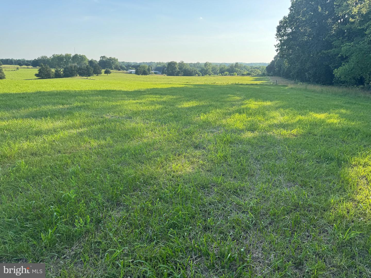 9020 BUCKLAND MILL RD, GAINESVILLE, Virginia 20155, ,Land,For sale,9020 BUCKLAND MILL RD,VAPW2097918 MLS # VAPW2097918
