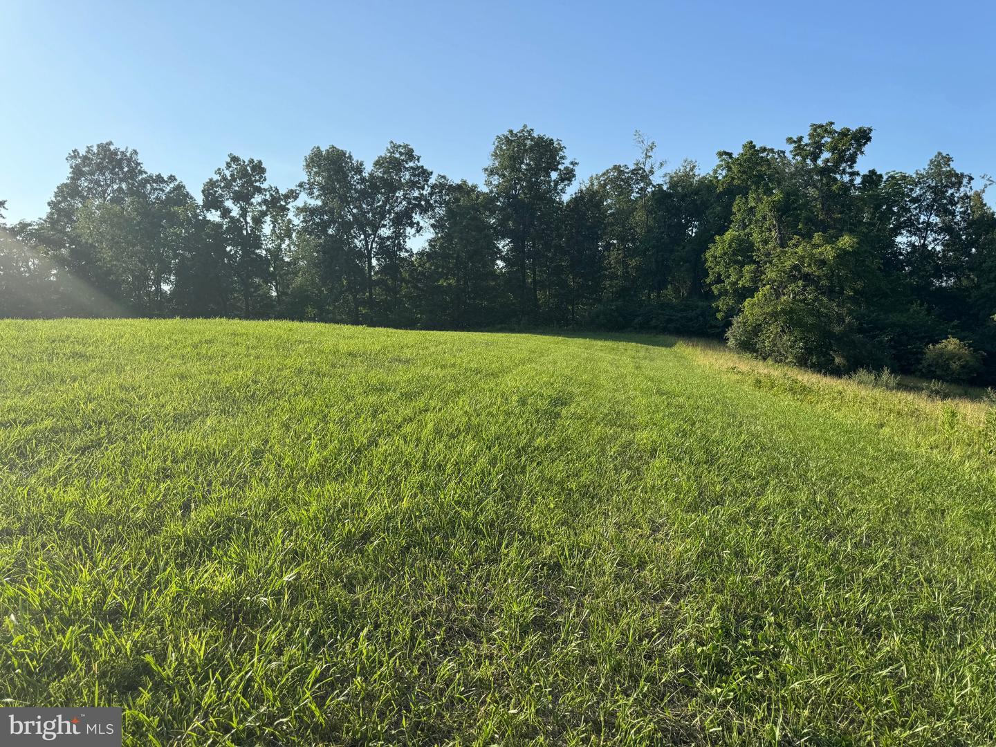 9020 BUCKLAND MILL RD, GAINESVILLE, Virginia 20155, ,Land,For sale,9020 BUCKLAND MILL RD,VAPW2097918 MLS # VAPW2097918