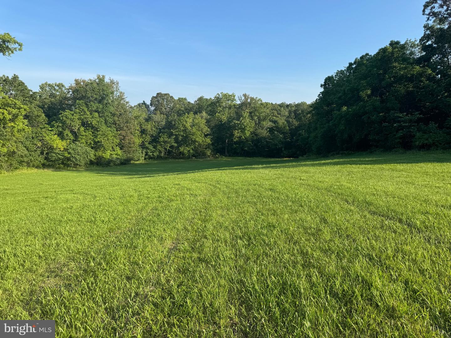 9020 BUCKLAND MILL RD, GAINESVILLE, Virginia 20155, ,Land,For sale,9020 BUCKLAND MILL RD,VAPW2097918 MLS # VAPW2097918