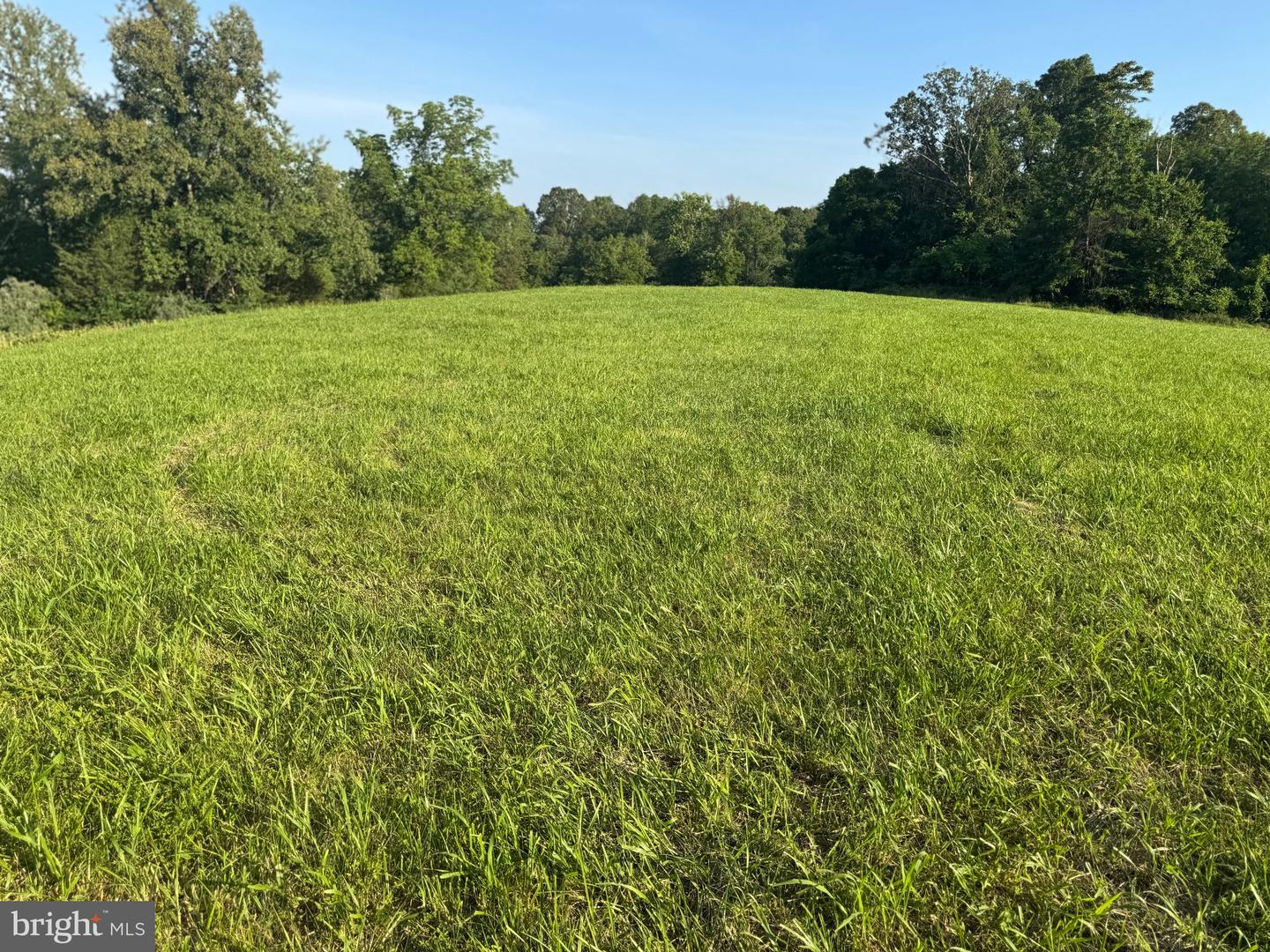 9020 BUCKLAND MILL RD, GAINESVILLE, Virginia 20155, ,Land,For sale,9020 BUCKLAND MILL RD,VAPW2097918 MLS # VAPW2097918