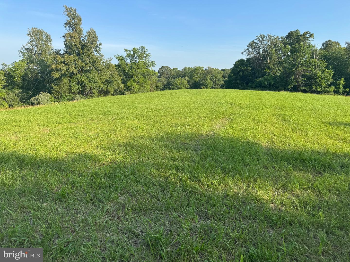 9020 BUCKLAND MILL RD, GAINESVILLE, Virginia 20155, ,Land,For sale,9020 BUCKLAND MILL RD,VAPW2097918 MLS # VAPW2097918