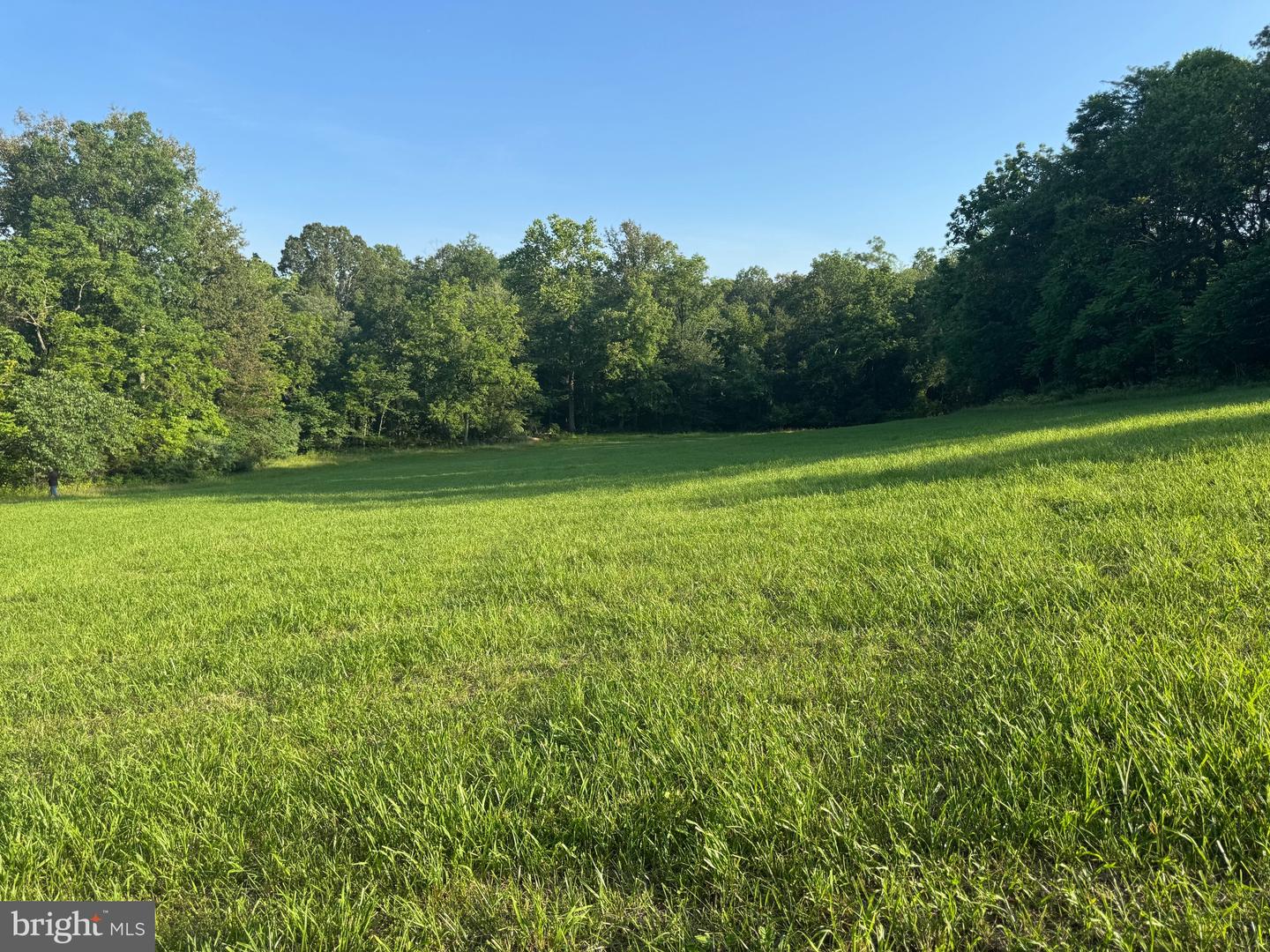 9020 BUCKLAND MILL RD, GAINESVILLE, Virginia 20155, ,Land,For sale,9020 BUCKLAND MILL RD,VAPW2097918 MLS # VAPW2097918