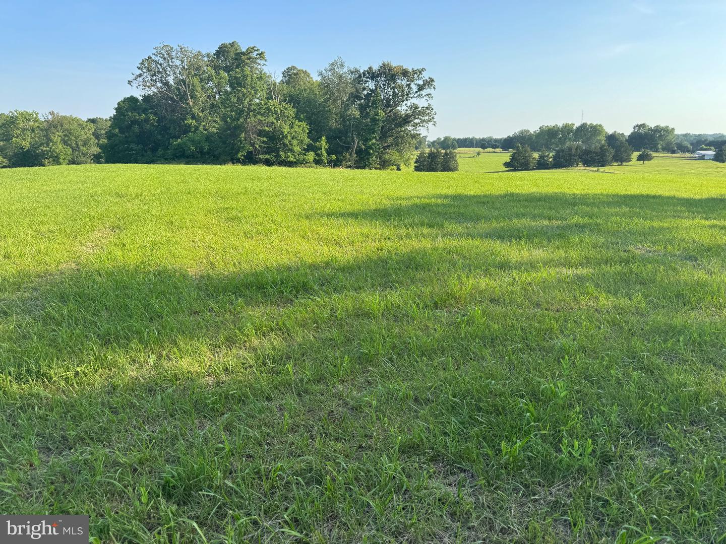9020 BUCKLAND MILL RD, GAINESVILLE, Virginia 20155, ,Land,For sale,9020 BUCKLAND MILL RD,VAPW2097918 MLS # VAPW2097918