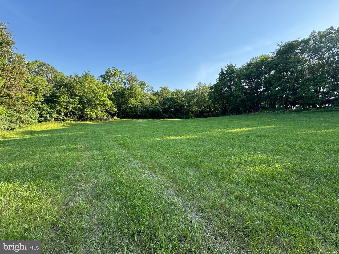 9020 BUCKLAND MILL RD, GAINESVILLE, Virginia 20155, ,Land,For sale,9020 BUCKLAND MILL RD,VAPW2097918 MLS # VAPW2097918