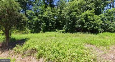 9782 DEAN DR, MANASSAS, Virginia 20110, ,Land,For sale,9782 DEAN DR,VAMN2008586 MLS # VAMN2008586