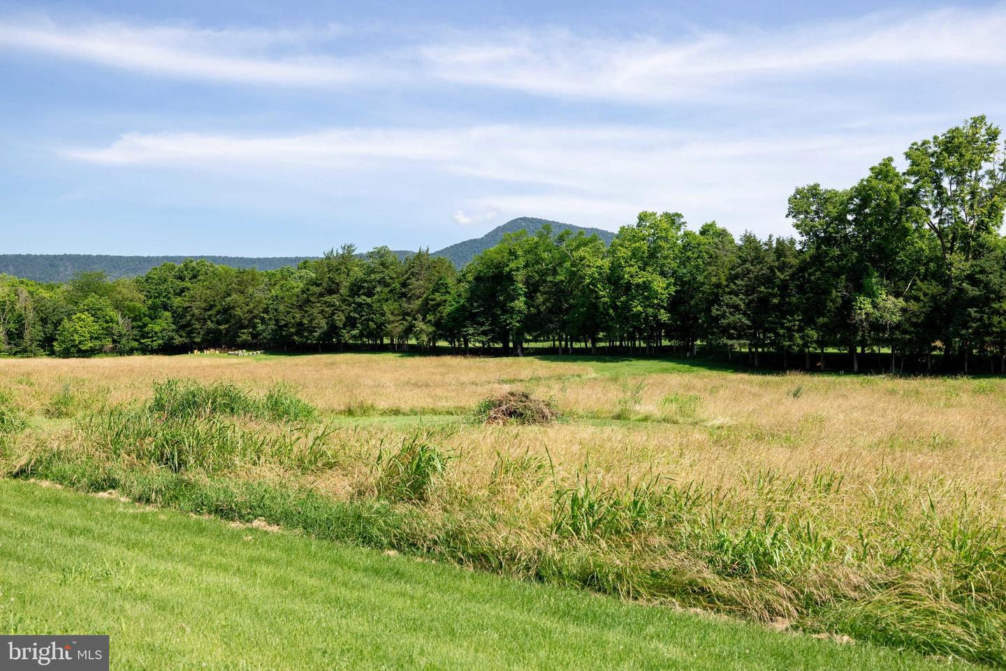 360 LAZY RIVER EAST RD, LURAY, Virginia 22835, 4 Bedrooms Bedrooms, ,4 BathroomsBathrooms,Residential,For sale,360 LAZY RIVER EAST RD,VAPA2004816 MLS # VAPA2004816