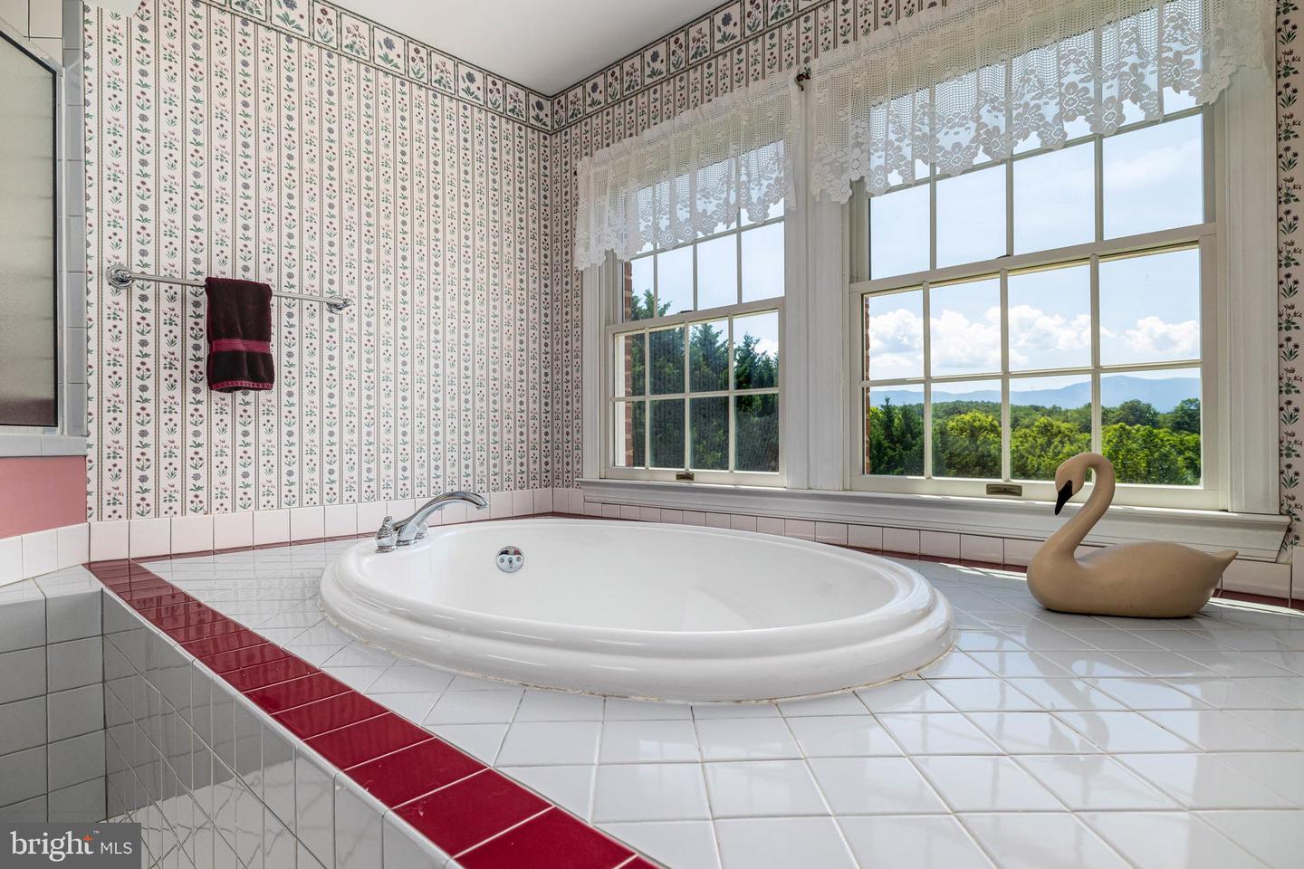 360 LAZY RIVER EAST RD, LURAY, Virginia 22835, 4 Bedrooms Bedrooms, ,4 BathroomsBathrooms,Residential,For sale,360 LAZY RIVER EAST RD,VAPA2004816 MLS # VAPA2004816