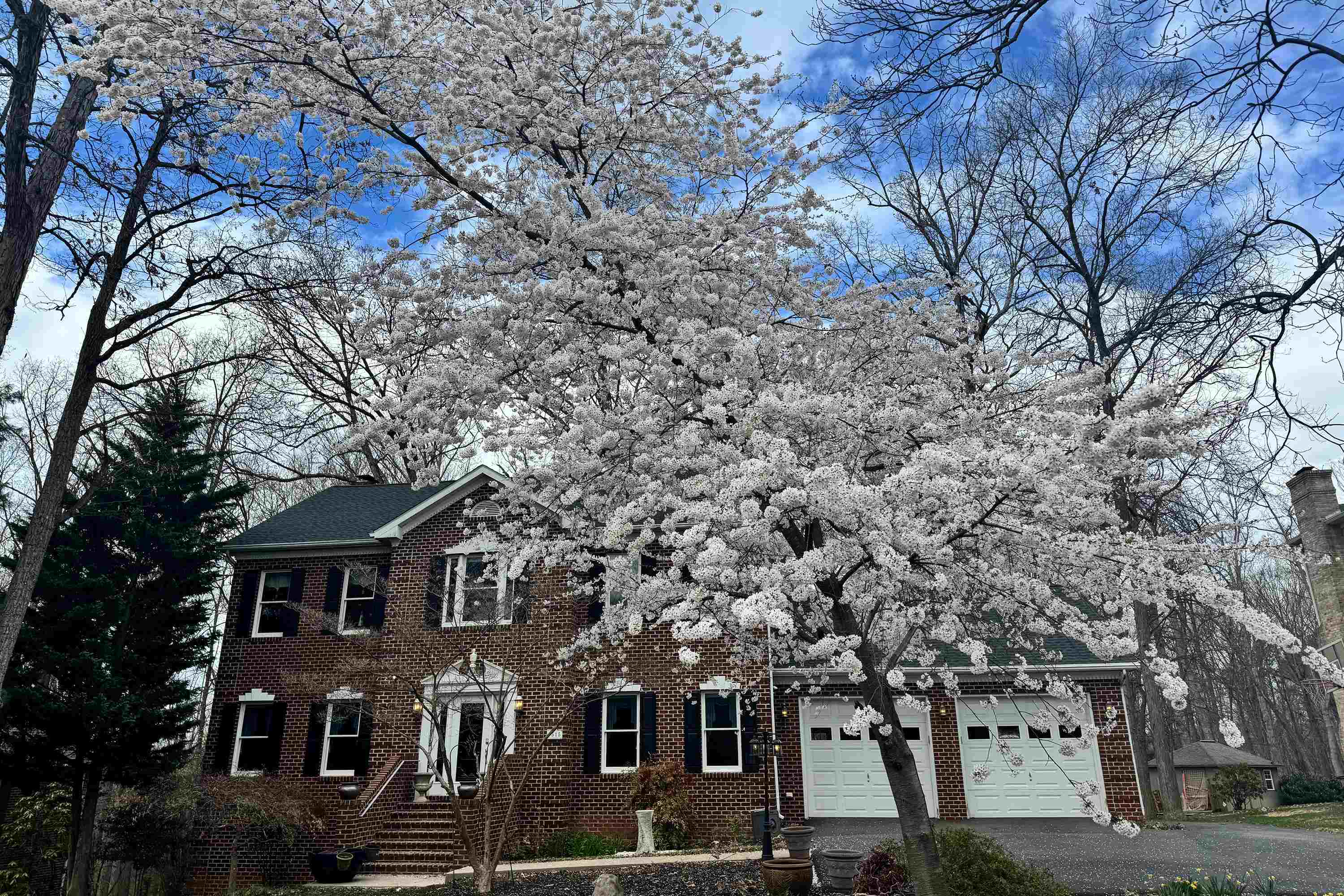 1515 CUMBERLAND DR, ROCKINGHAM, Virginia 22801, 5 Bedrooms Bedrooms, ,3 BathroomsBathrooms,Residential,1515 CUMBERLAND DR,666107 MLS # 666107