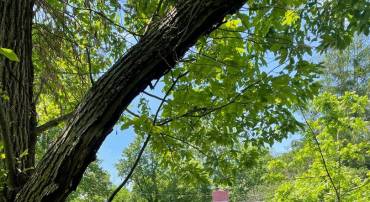 1951 MILLWOOD RD, BOYCE, Virginia 22620, 3 Bedrooms Bedrooms, ,2 BathroomsBathrooms,Residential,For sale,1951 MILLWOOD RD,VACL2003820 MLS # VACL2003820