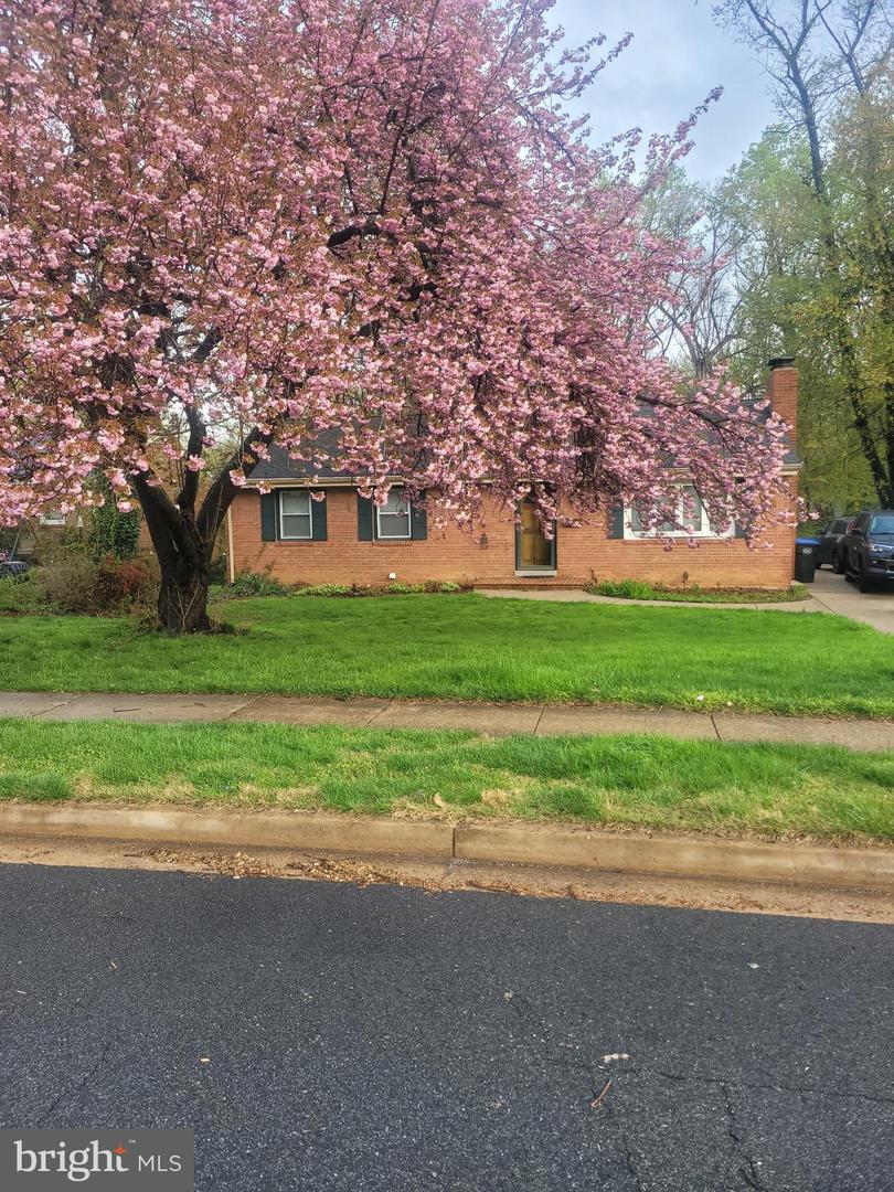 7632 WEBBWOOD CT, SPRINGFIELD, Virginia 22151, 4 Bedrooms Bedrooms, ,3 BathroomsBathrooms,Residential,For sale,7632 WEBBWOOD CT,VAFX2246108 MLS # VAFX2246108