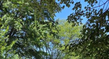 7632 WEBBWOOD CT, SPRINGFIELD, Virginia 22151, 4 Bedrooms Bedrooms, ,3 BathroomsBathrooms,Residential,For sale,7632 WEBBWOOD CT,VAFX2246108 MLS # VAFX2246108