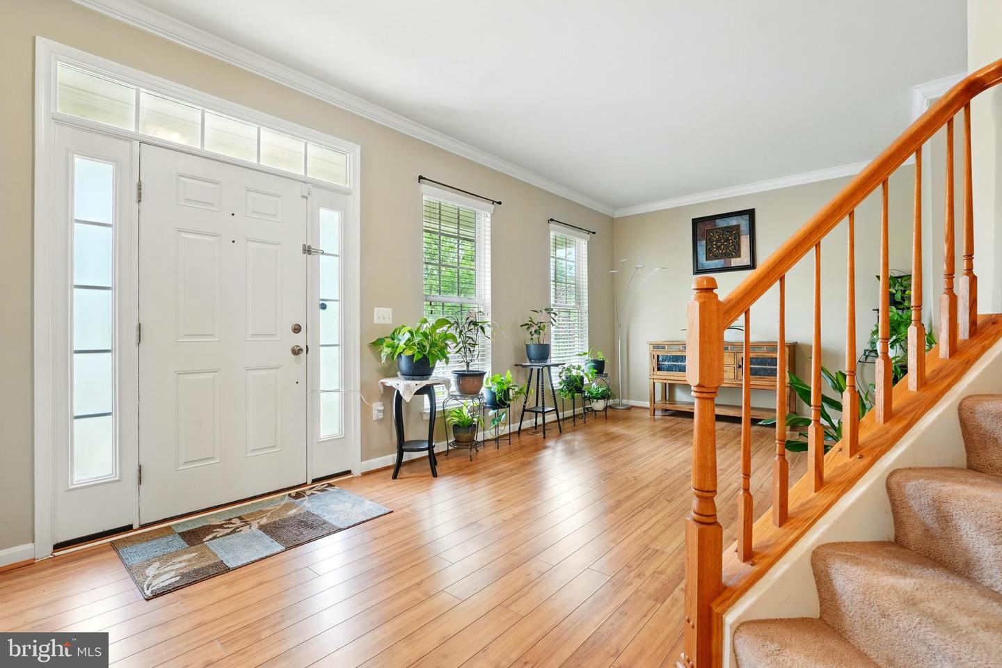 230 WHITWORTH DR, CULPEPER, Virginia 22701, 4 Bedrooms Bedrooms, ,3 BathroomsBathrooms,Residential,For sale,230 WHITWORTH DR,VACU2010890 MLS # VACU2010890
