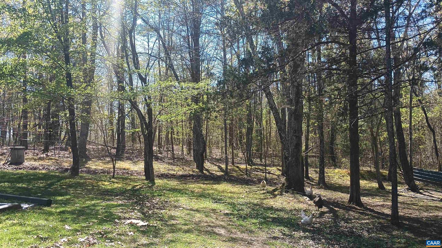 176 TOMS LN, ROSELAND, Virginia 22967, 3 Bedrooms Bedrooms, ,1 BathroomBathrooms,Residential,For sale,176 TOMS LN,666106 MLS # 666106