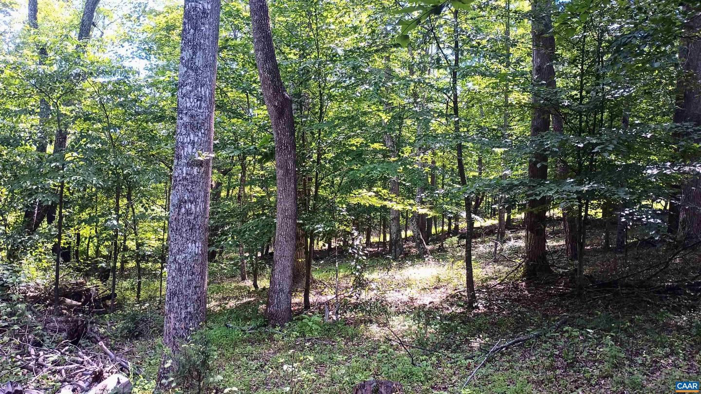 176 TOMS LN, ROSELAND, Virginia 22967, 3 Bedrooms Bedrooms, ,1 BathroomBathrooms,Residential,For sale,176 TOMS LN,666106 MLS # 666106
