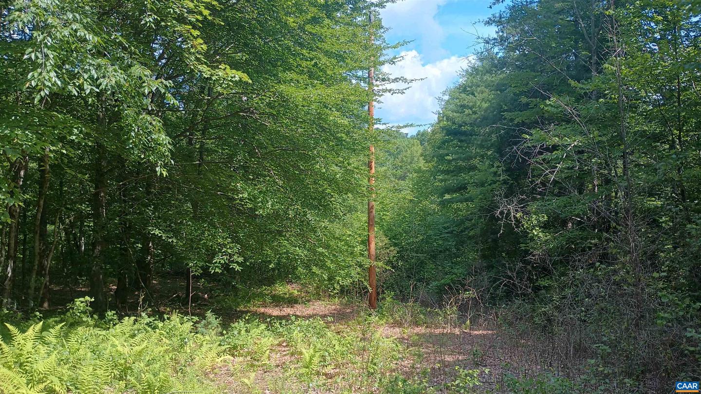 176 TOMS LN, ROSELAND, Virginia 22967, 3 Bedrooms Bedrooms, ,1 BathroomBathrooms,Residential,For sale,176 TOMS LN,666106 MLS # 666106