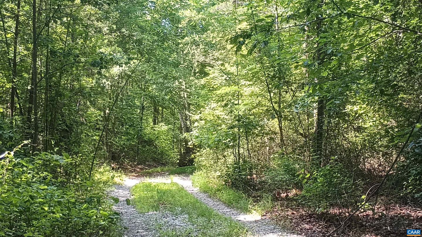 176 TOMS LN, ROSELAND, Virginia 22967, 3 Bedrooms Bedrooms, ,1 BathroomBathrooms,Residential,For sale,176 TOMS LN,666106 MLS # 666106