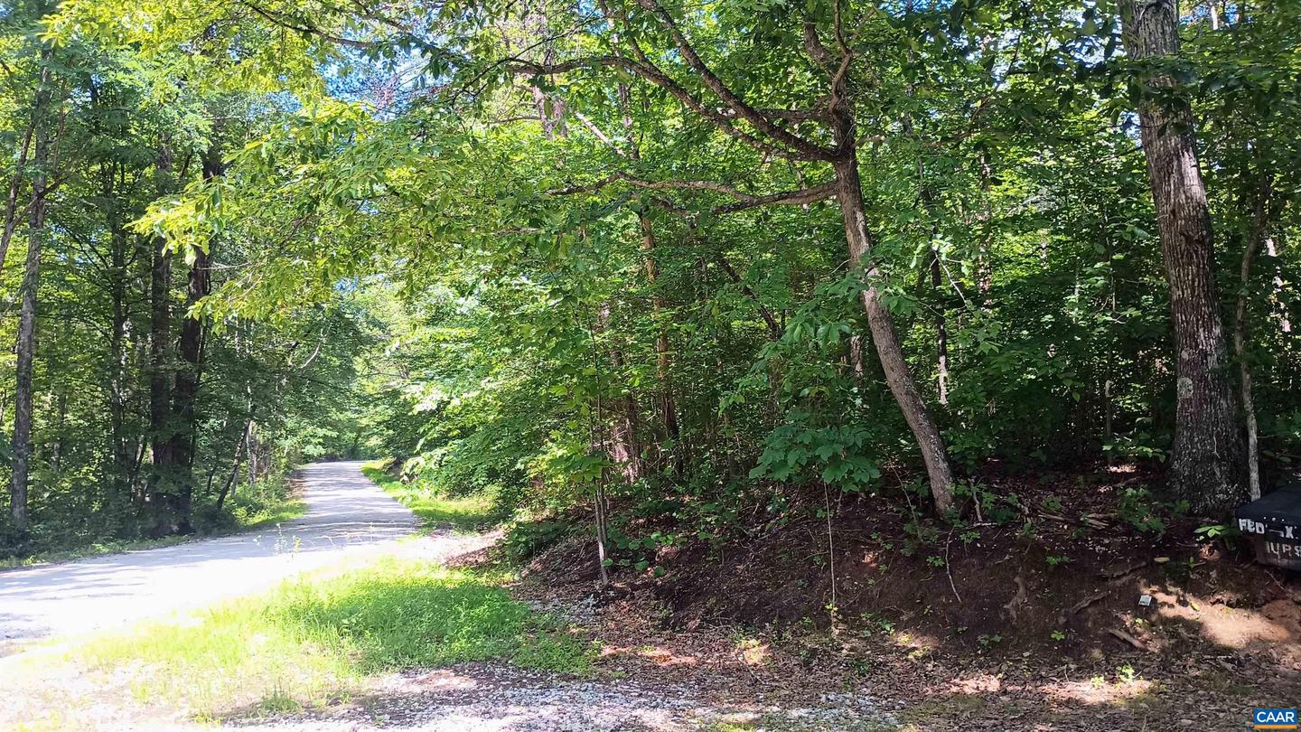 176 TOMS LN, ROSELAND, Virginia 22967, 3 Bedrooms Bedrooms, ,1 BathroomBathrooms,Residential,For sale,176 TOMS LN,666106 MLS # 666106