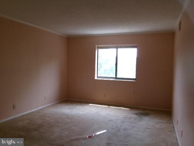 5904 MOUNT EAGLE DR #210, ALEXANDRIA, Virginia 22303, 2 Bedrooms Bedrooms, ,2 BathroomsBathrooms,Residential,For sale,5904 MOUNT EAGLE DR #210,VAFX2250538 MLS # VAFX2250538