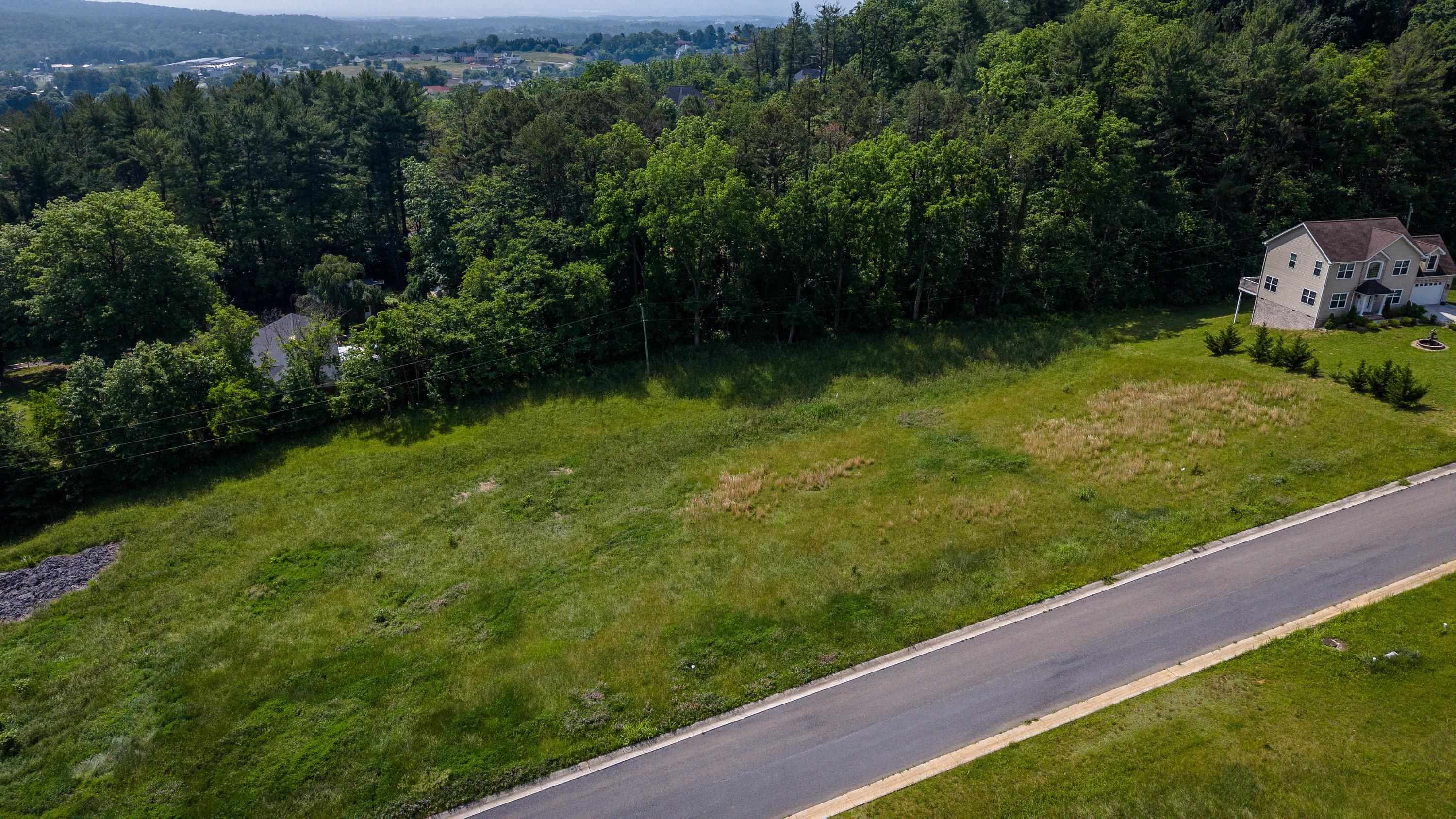 0 BEAR CROSSING CT, PENN LAIRD, Virginia 22846, ,Commercial,0 BEAR CROSSING CT,666153 MLS # 666153