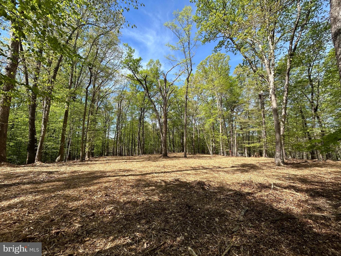 12636 MILL DAM DR, CLIFTON, Virginia 20124, ,Land,For sale,12636 MILL DAM DR,VAFX2239322 MLS # VAFX2239322