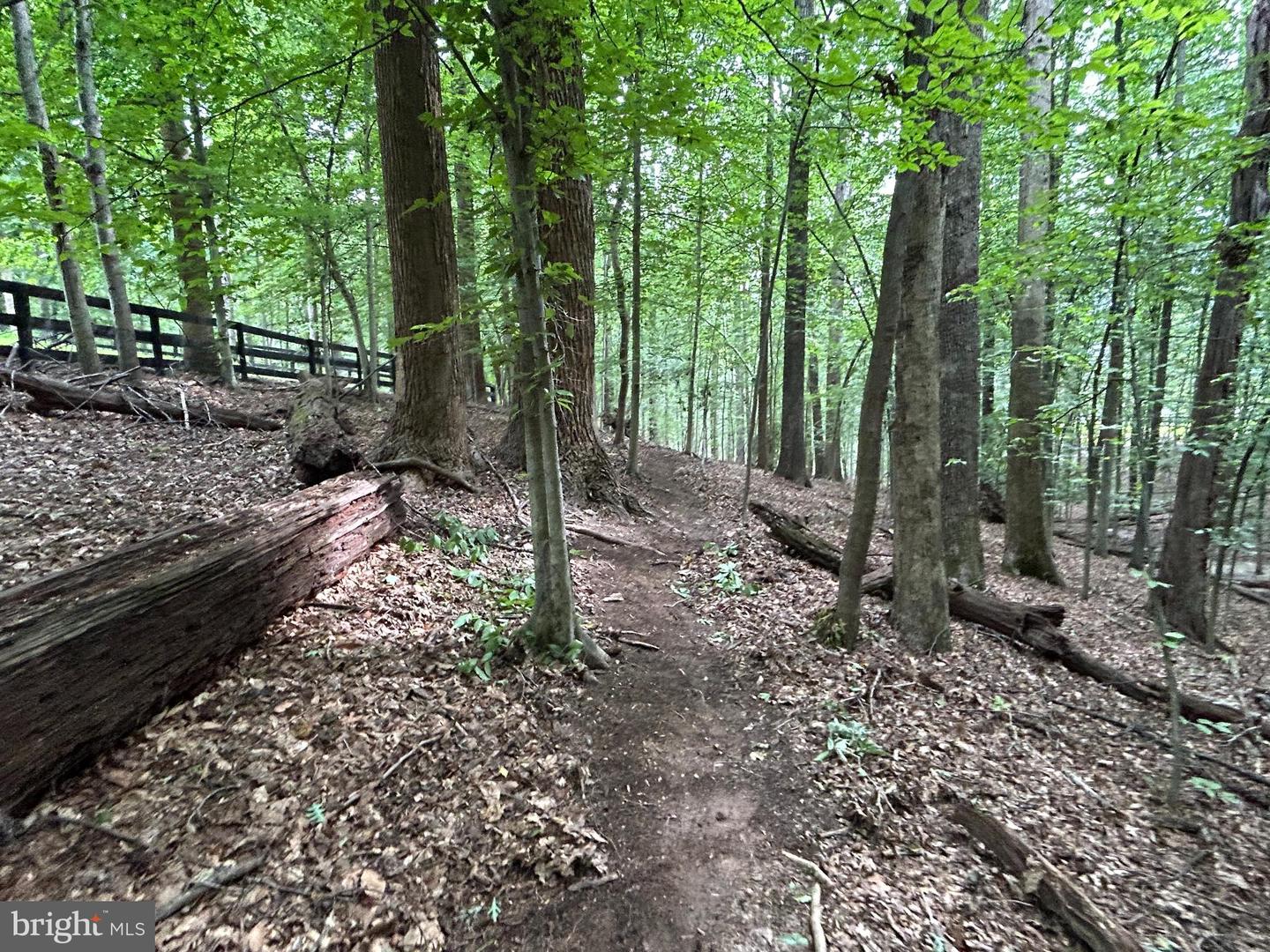12636 MILL DAM DR, CLIFTON, Virginia 20124, ,Land,For sale,12636 MILL DAM DR,VAFX2239322 MLS # VAFX2239322