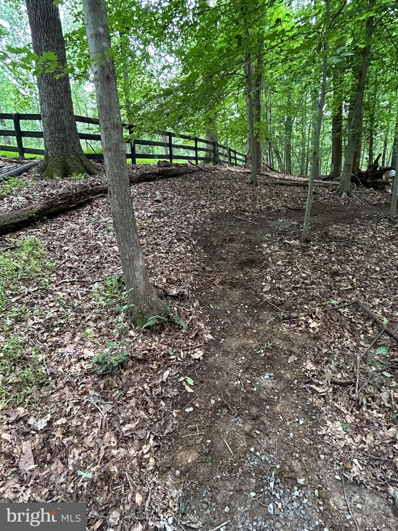 12636 MILL DAM DR, CLIFTON, Virginia 20124, ,Land,For sale,12636 MILL DAM DR,VAFX2239322 MLS # VAFX2239322
