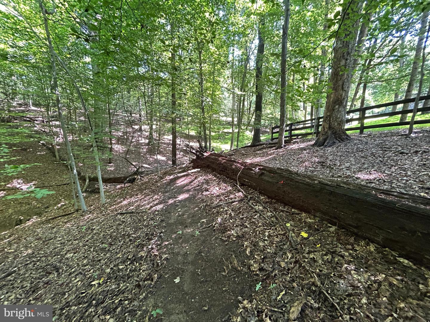 12636 MILL DAM DR, CLIFTON, Virginia 20124, ,Land,For sale,12636 MILL DAM DR,VAFX2239322 MLS # VAFX2239322