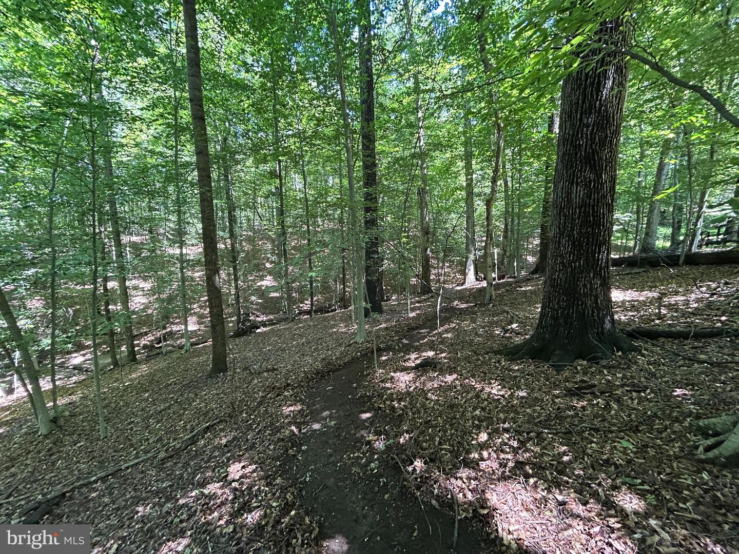 12636 MILL DAM DR, CLIFTON, Virginia 20124, ,Land,For sale,12636 MILL DAM DR,VAFX2239322 MLS # VAFX2239322