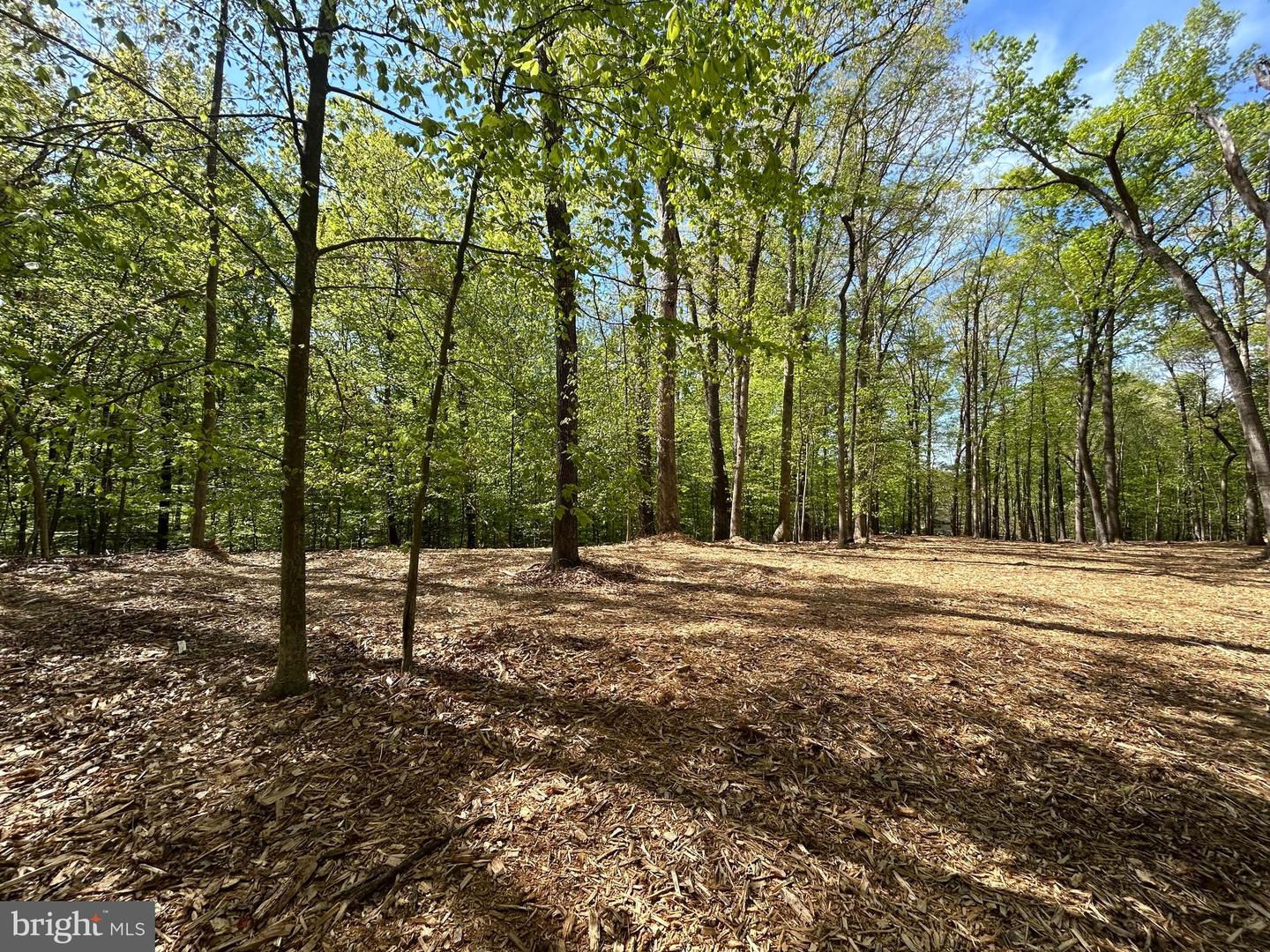 12636 MILL DAM DR, CLIFTON, Virginia 20124, ,Land,For sale,12636 MILL DAM DR,VAFX2239322 MLS # VAFX2239322