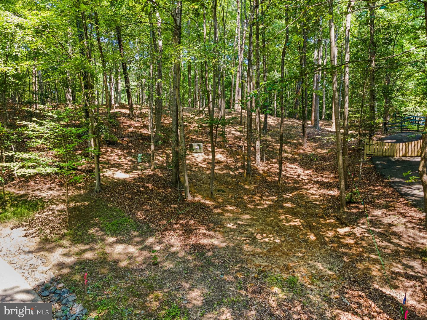 12636 MILL DAM DR, CLIFTON, Virginia 20124, ,Land,For sale,12636 MILL DAM DR,VAFX2239322 MLS # VAFX2239322