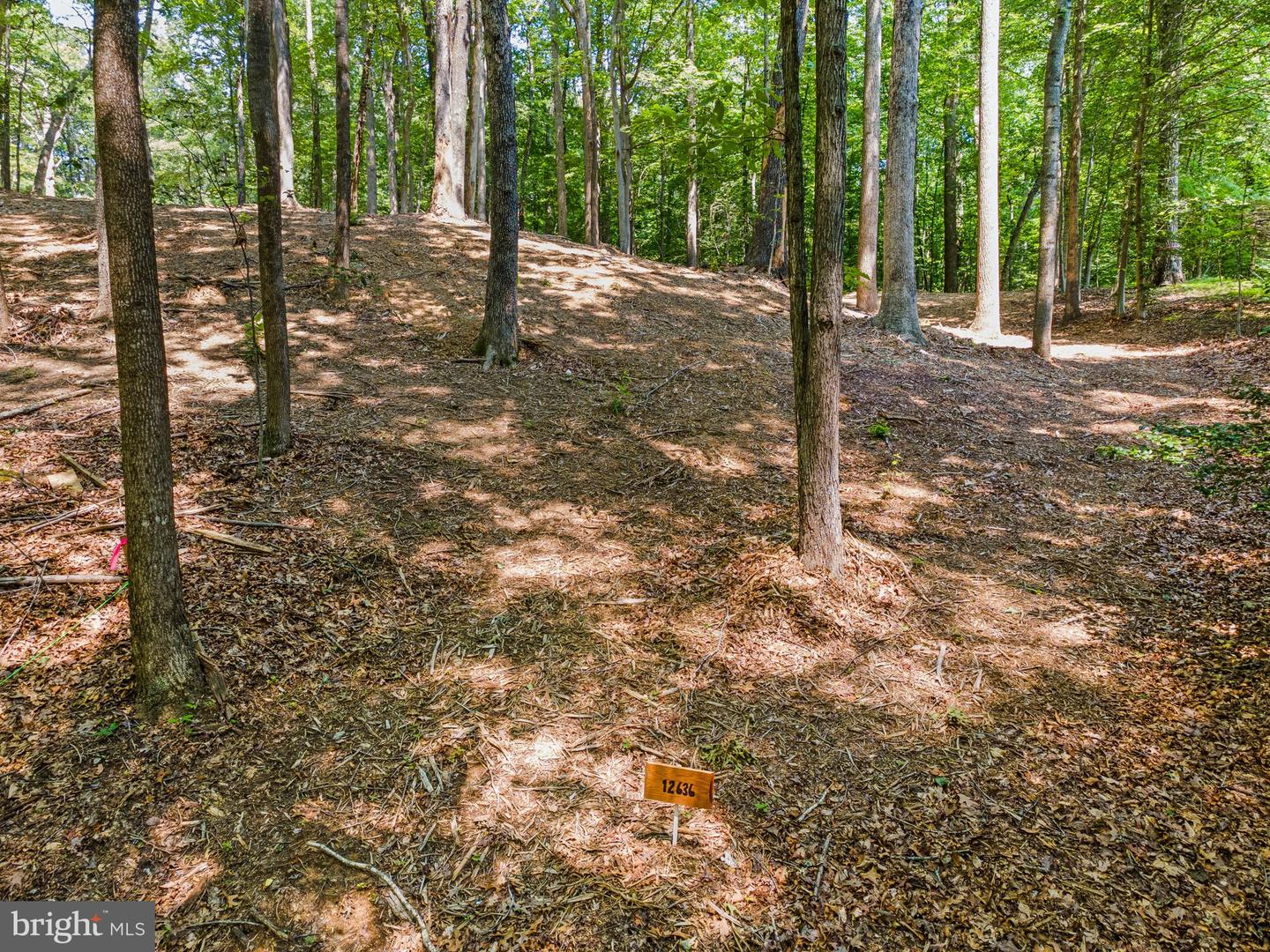 12636 MILL DAM DR, CLIFTON, Virginia 20124, ,Land,For sale,12636 MILL DAM DR,VAFX2239322 MLS # VAFX2239322