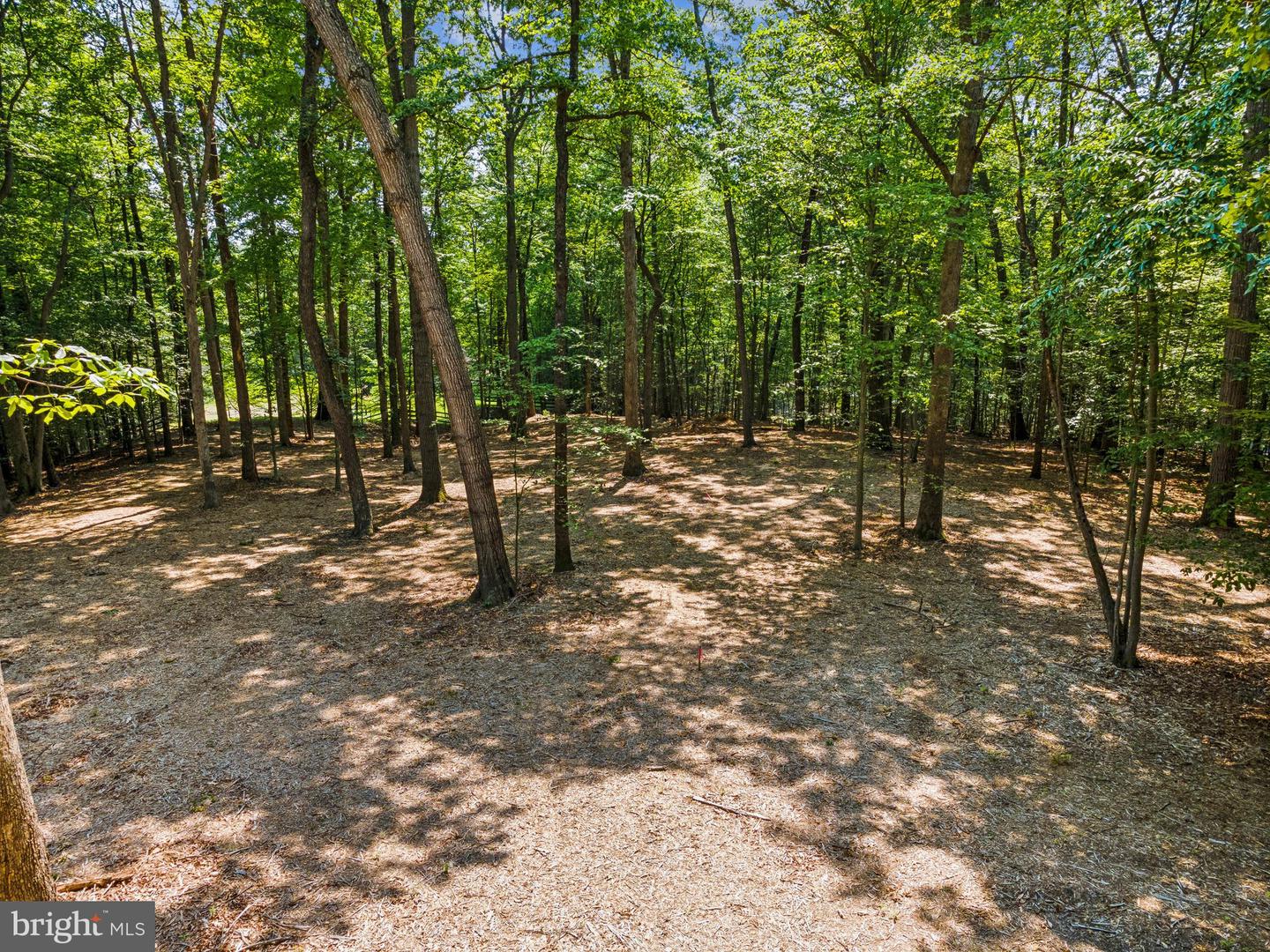 12636 MILL DAM DR, CLIFTON, Virginia 20124, ,Land,For sale,12636 MILL DAM DR,VAFX2239322 MLS # VAFX2239322