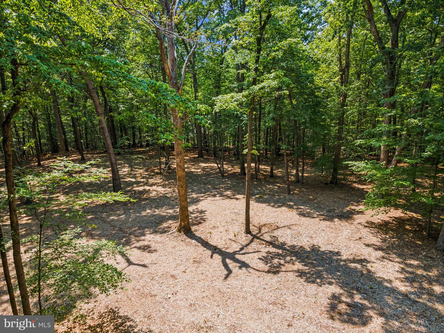 12636 MILL DAM DR, CLIFTON, Virginia 20124, ,Land,For sale,12636 MILL DAM DR,VAFX2239322 MLS # VAFX2239322