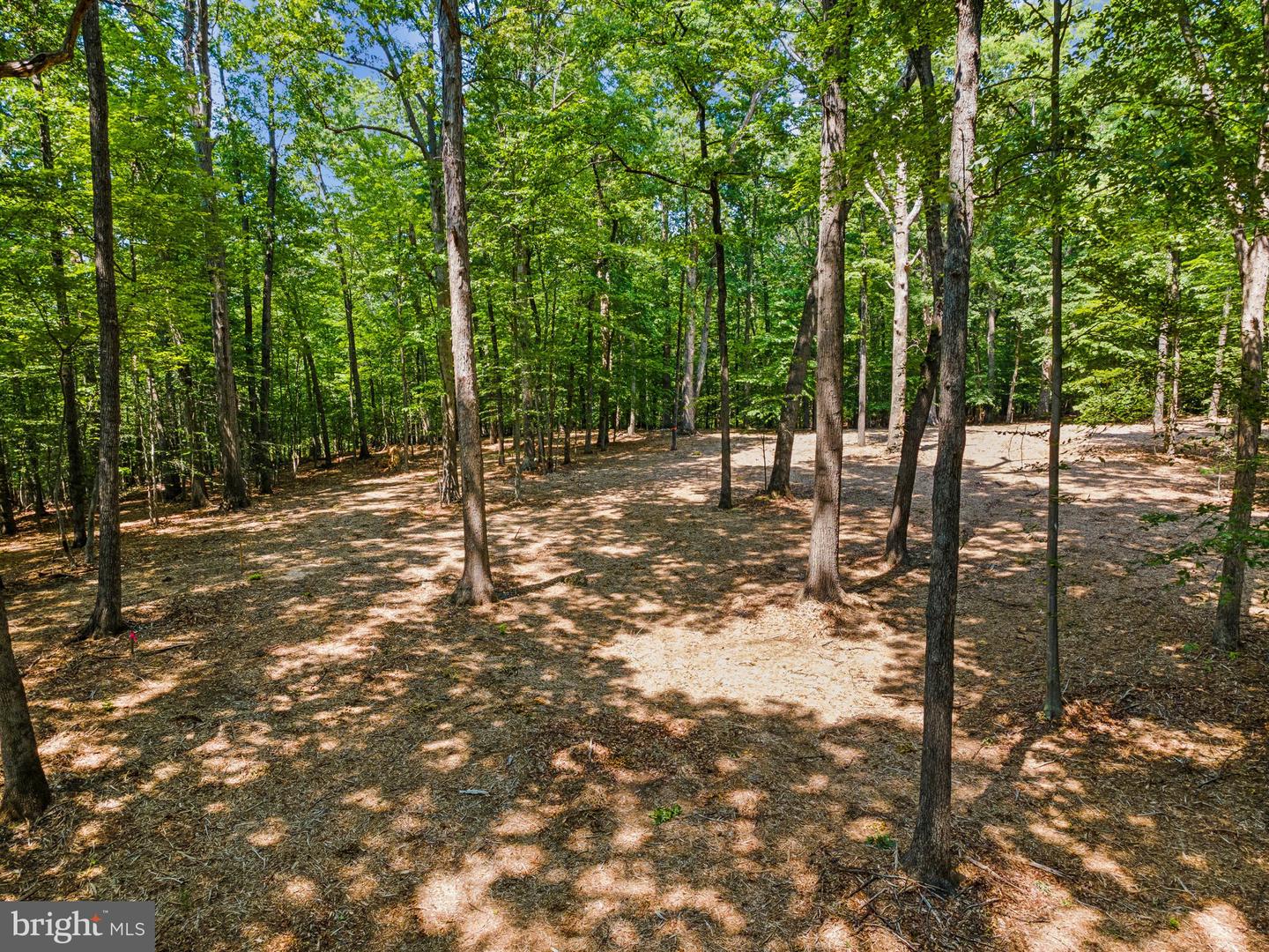 12636 MILL DAM DR, CLIFTON, Virginia 20124, ,Land,For sale,12636 MILL DAM DR,VAFX2239322 MLS # VAFX2239322