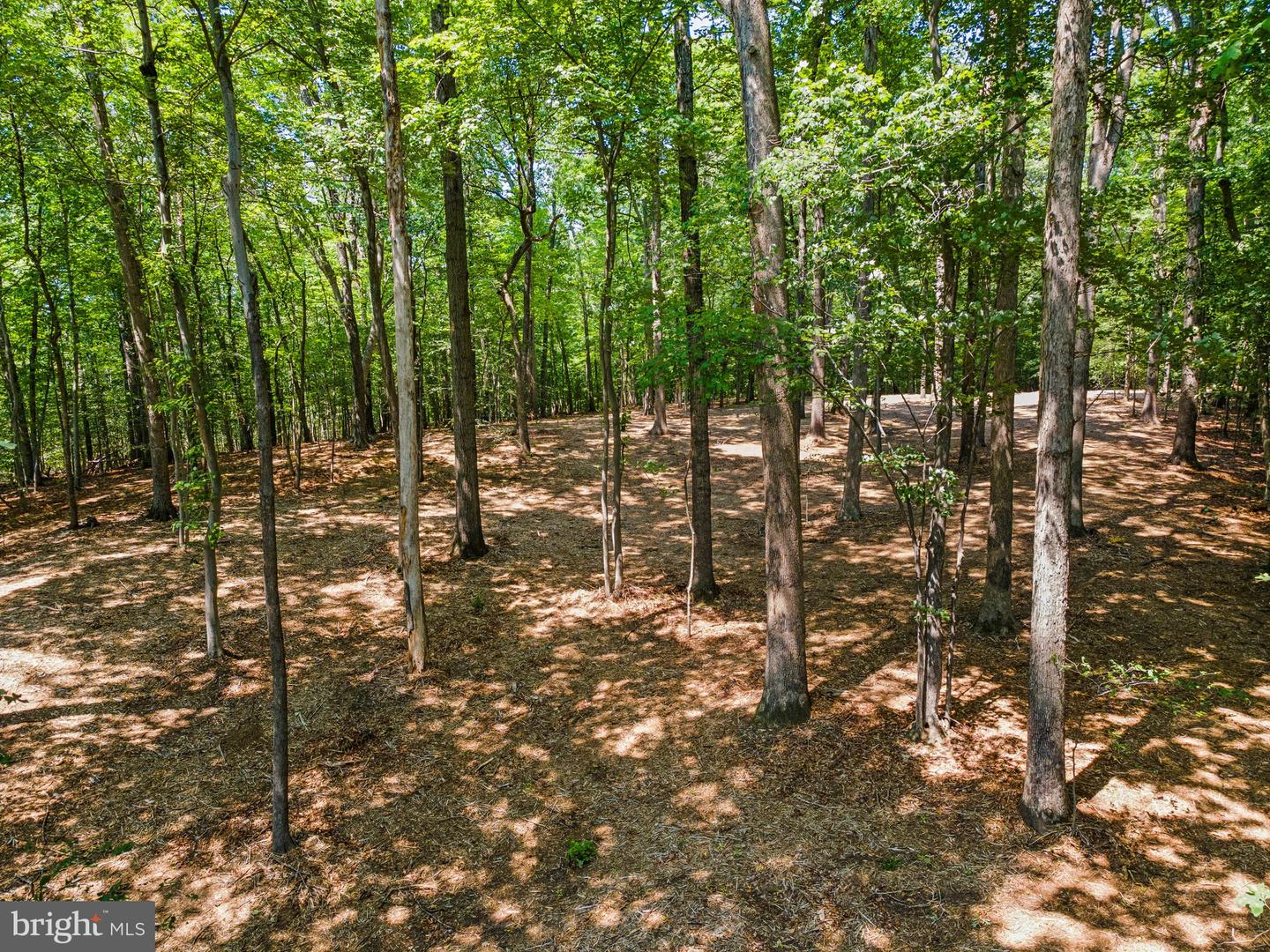 12636 MILL DAM DR, CLIFTON, Virginia 20124, ,Land,For sale,12636 MILL DAM DR,VAFX2239322 MLS # VAFX2239322