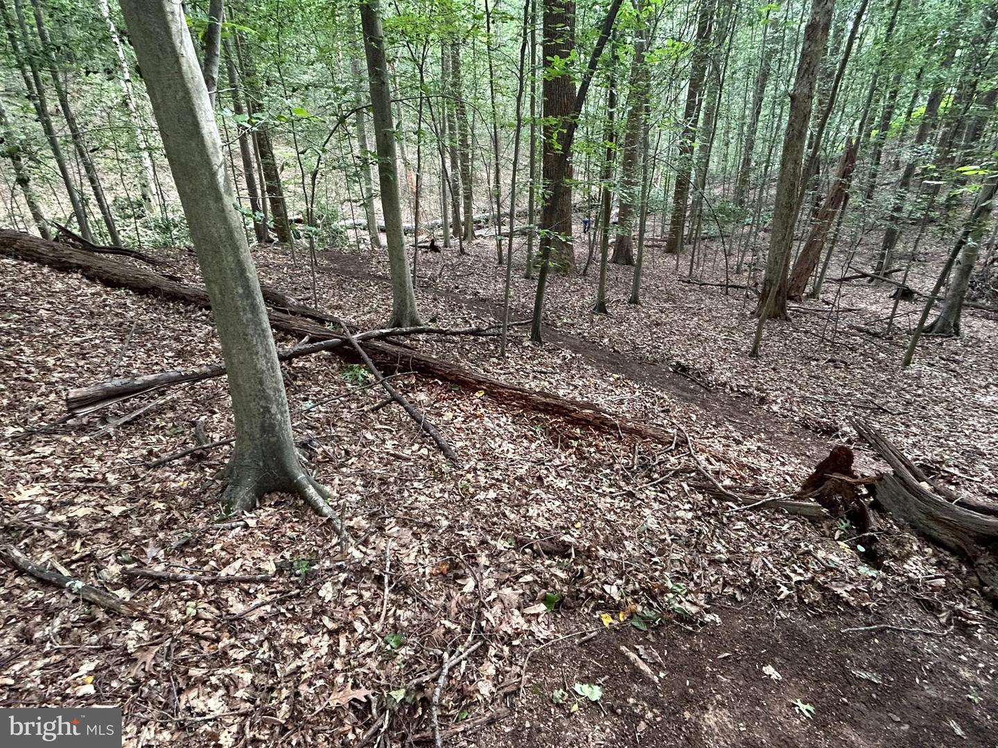 12636 MILL DAM DR, CLIFTON, Virginia 20124, ,Land,For sale,12636 MILL DAM DR,VAFX2239322 MLS # VAFX2239322