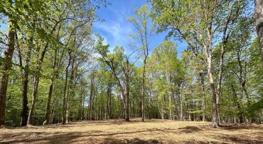 12636 MILL DAM DR, CLIFTON, Virginia 20124, ,Land,For sale,12636 MILL DAM DR,VAFX2239322 MLS # VAFX2239322