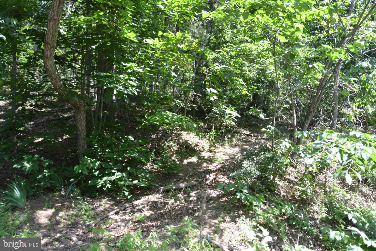 596 BACK CREEK RD, GORE, Virginia 22637, ,Land,For sale,596 BACK CREEK RD,VAFV2035116 MLS # VAFV2035116