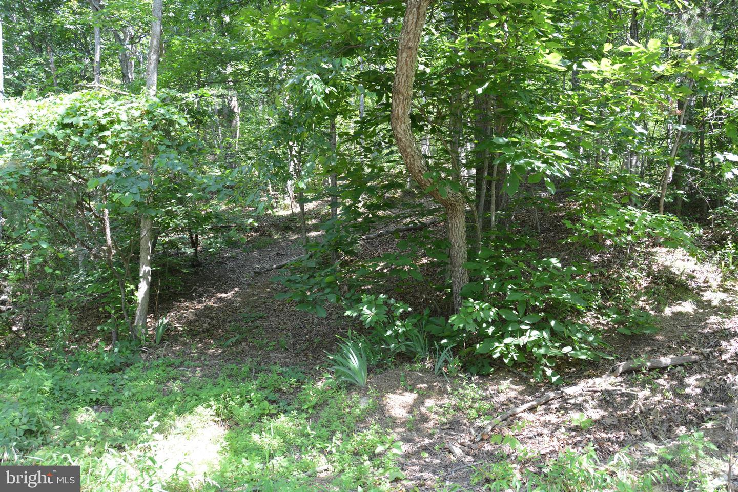 596 BACK CREEK RD, GORE, Virginia 22637, ,Land,For sale,596 BACK CREEK RD,VAFV2035116 MLS # VAFV2035116