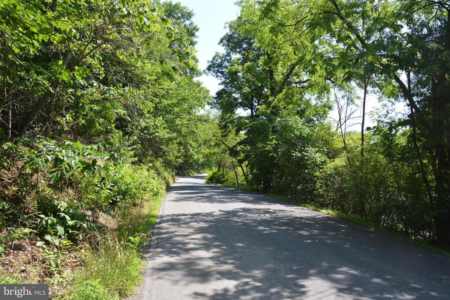 596 BACK CREEK RD, GORE, Virginia 22637, ,Land,For sale,596 BACK CREEK RD,VAFV2035116 MLS # VAFV2035116