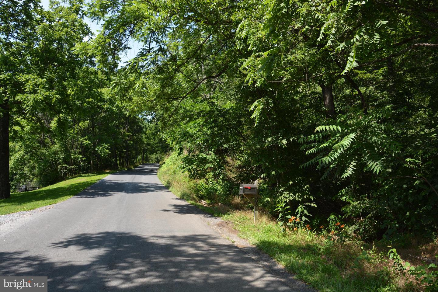 596 BACK CREEK RD, GORE, Virginia 22637, ,Land,For sale,596 BACK CREEK RD,VAFV2035116 MLS # VAFV2035116