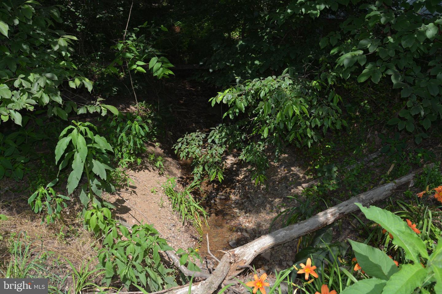 596 BACK CREEK RD, GORE, Virginia 22637, ,Land,For sale,596 BACK CREEK RD,VAFV2035116 MLS # VAFV2035116