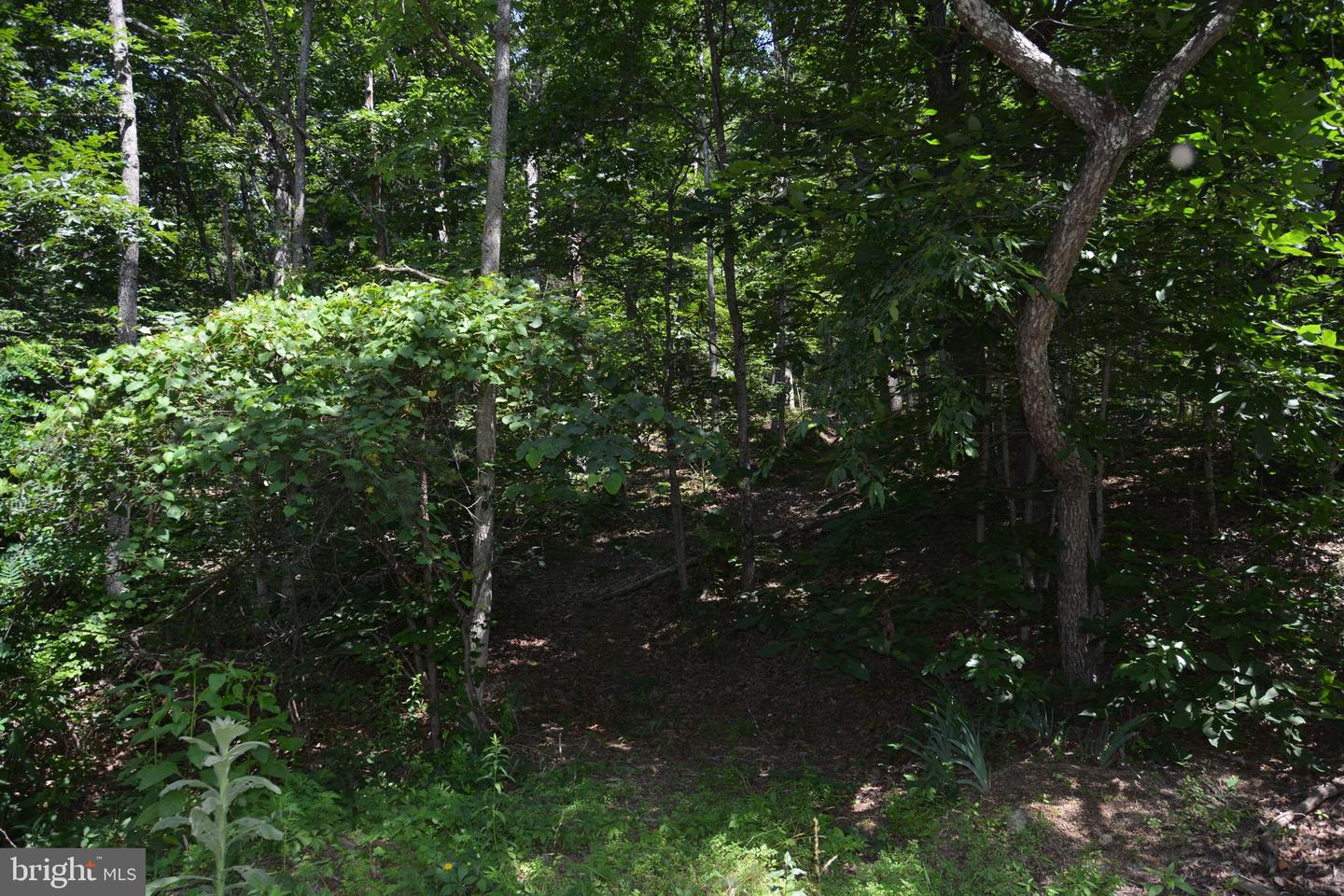596 BACK CREEK RD, GORE, Virginia 22637, ,Land,For sale,596 BACK CREEK RD,VAFV2035116 MLS # VAFV2035116